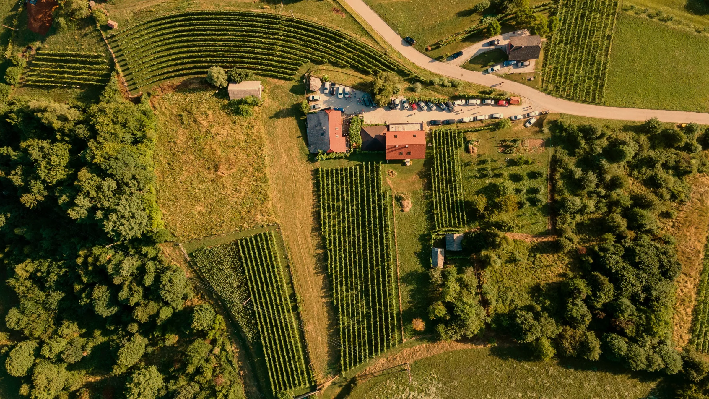 Vinogradi Ravnikar — pogled iz zraka